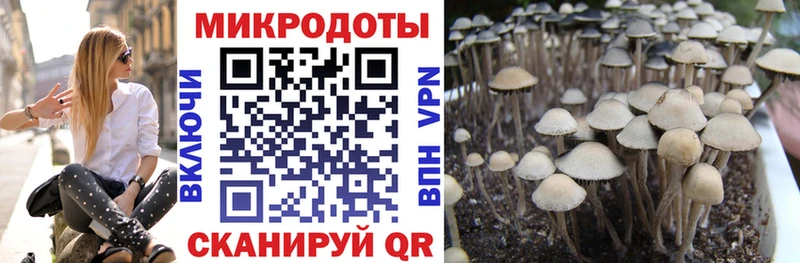 Галлюциногенные грибы Magic Shrooms  цена   Кукмор 